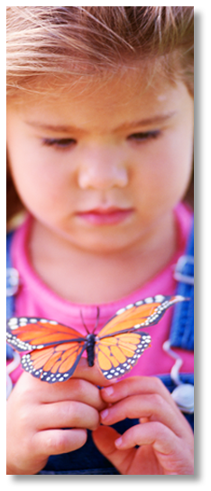 GirlButterfly